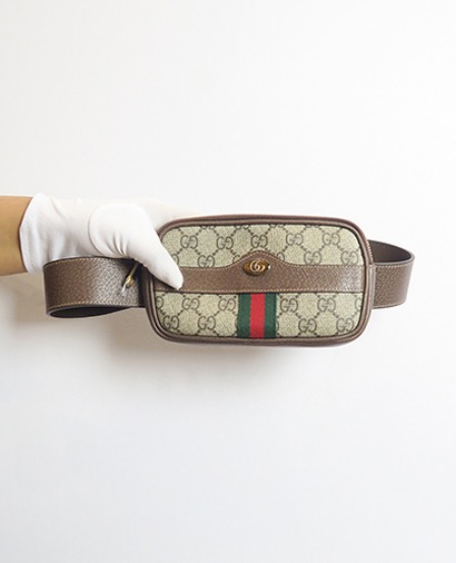 Ophidia Mini Belt Bag, front view